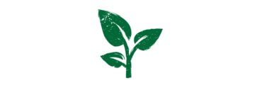 Nachhaltigkeit & Klimaneutralität bei Develey Icon Pflanze 